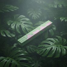 Curiosity series: Pink Elephant - Limited edition!